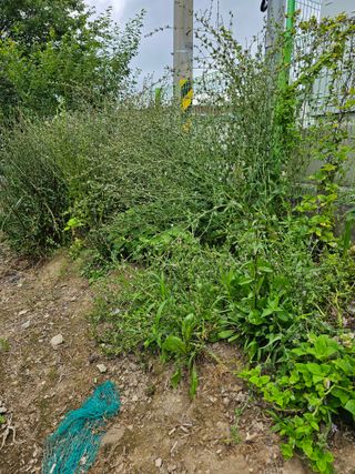 청산거사님의 🎉상반기 결산 자랑하기 · 참여글 작성글 사진