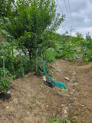 청산거사님의 🎉상반기 결산 자랑하기 · 참여글 작성글 사진
