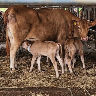 소담농장님의 🎉상반기 결산 자랑하기 · 참여글 작성글 사진
