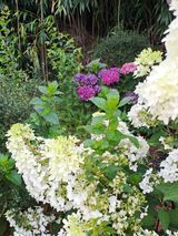 팜모닝 🎉상반기 결산 자랑하기·참여글 게시글 이미지