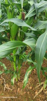 팜모닝 🎉상반기 결산 자랑하기·참여글 게시글 이미지