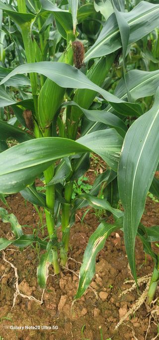 양파링님의 🎉상반기 결산 자랑하기 · 참여글 작성글 사진