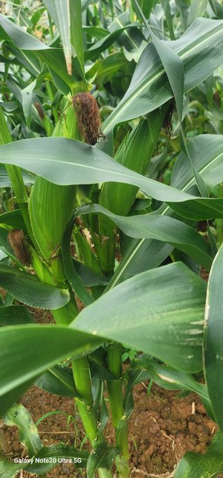 양파링님의 🎉상반기 결산 자랑하기 · 참여글 작성글 사진