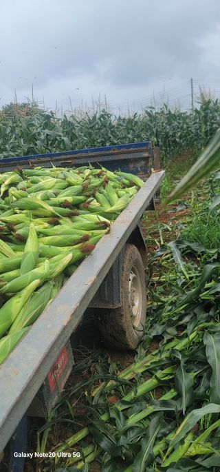 양파링님의 🎉상반기 결산 자랑하기 · 참여글 작성글 사진