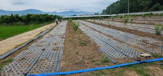 남석희님의 🎉상반기 결산 자랑하기 · 참여글 작성글 사진
