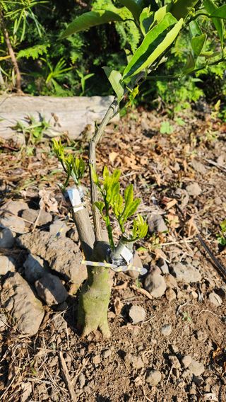 김병석님의 🎉상반기 결산 자랑하기 · 참여글 작성글 사진