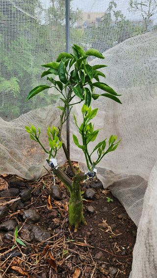 김병석님의 🎉상반기 결산 자랑하기 · 참여글 작성글 사진