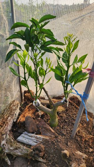 김병석님의 🎉상반기 결산 자랑하기 · 참여글 작성글 사진