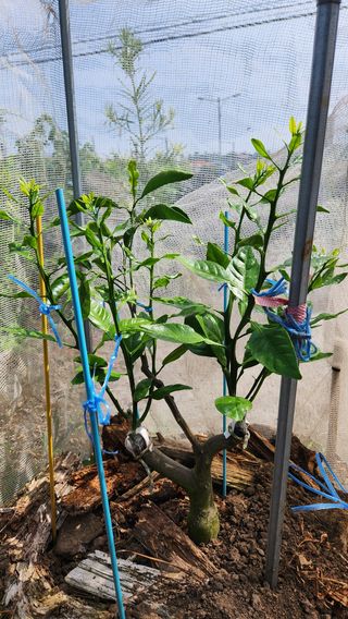 김병석님의 🎉상반기 결산 자랑하기 · 참여글 작성글 사진