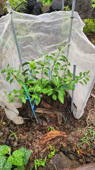 김병석님의 🎉상반기 결산 자랑하기 · 참여글 작성글 사진