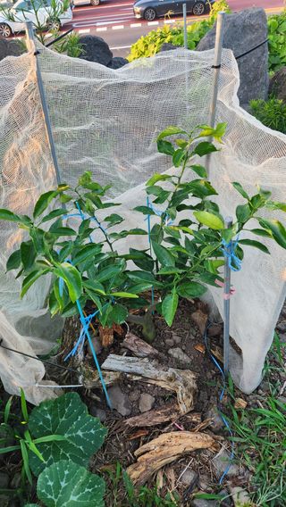 김병석님의 🎉상반기 결산 자랑하기 · 참여글 작성글 사진