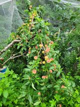 팜모닝 🎉상반기 결산 자랑하기·참여글 게시글 이미지