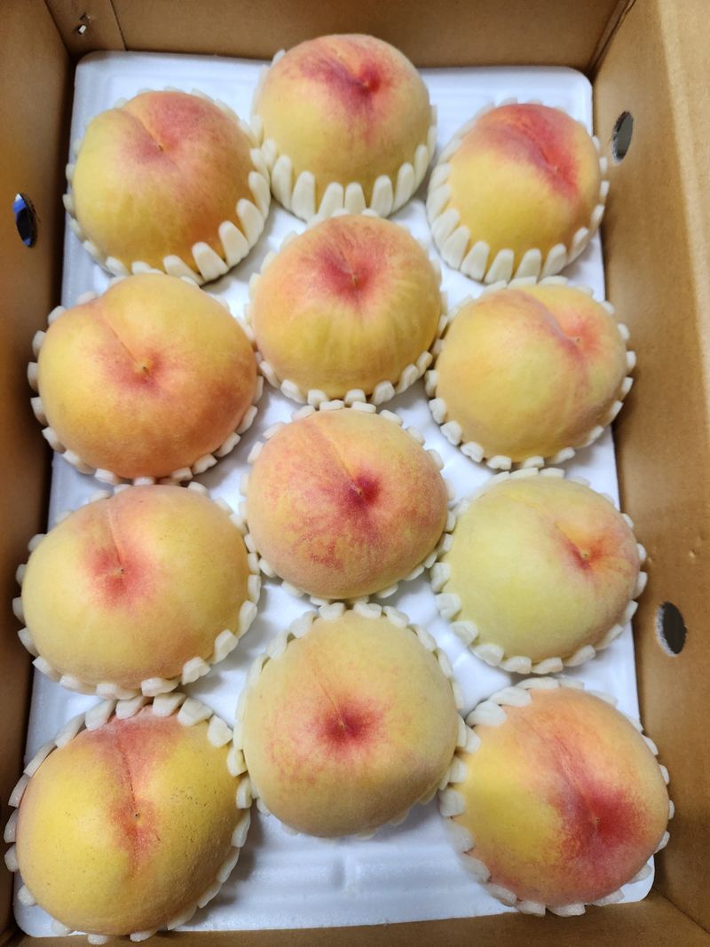 장터 상품 [복숭아 백도,황도 4kg ] 썸네일