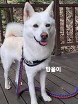 팜모닝 🎉상반기 결산 자랑하기·참여글 게시글 이미지