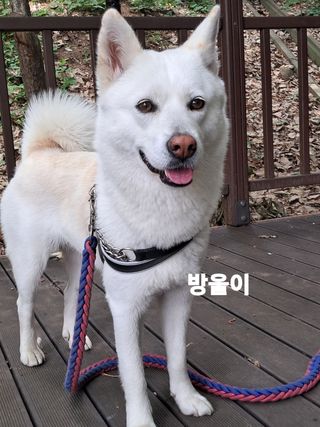 GH장수기호농님의 🎉상반기 결산 자랑하기 · 참여글 작성글 사진