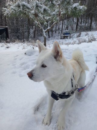 GH장수기호농님의 🎉상반기 결산 자랑하기 · 참여글 작성글 사진