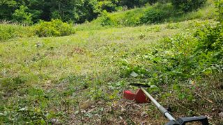 호피랑 농부랑님의 🎉상반기 결산 자랑하기 · 참여글 작성글 사진