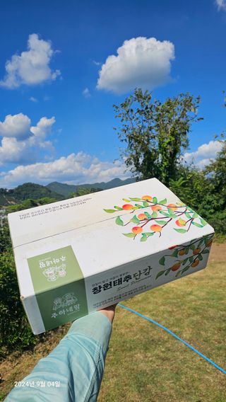 주하네팜(태추,부유님의 작성글 사진