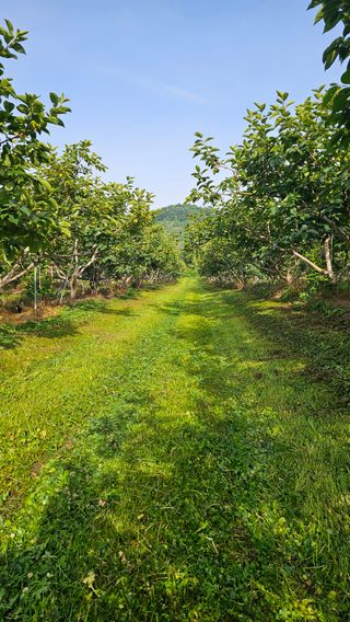 주하네팜(태추,부유님의 작성글 사진