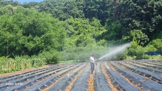 이준호님의 콩 · 영농일지 작성글 사진