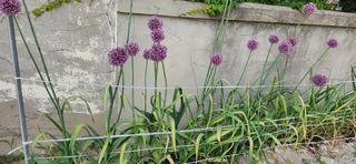 달빛님의 🎉상반기 결산 자랑하기 · 참여글 작성글 사진