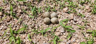 달빛님의 🎉상반기 결산 자랑하기 · 참여글 작성글 사진