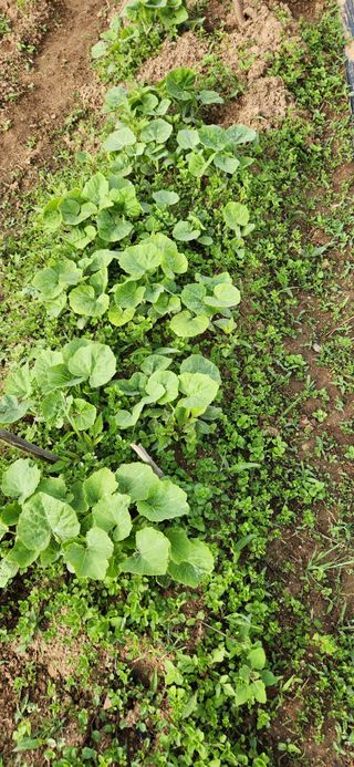 달빛님의 🎉상반기 결산 자랑하기 · 참여글 작성글 사진