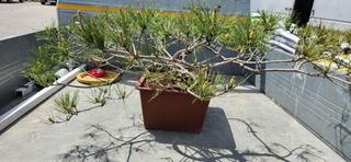 달빛님의 🎉상반기 결산 자랑하기 · 참여글 작성글 사진