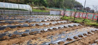 달빛님의 🎉상반기 결산 자랑하기 · 참여글 작성글 사진