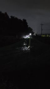 팜모닝 🎉상반기 결산 자랑하기·참여글 게시글 이미지