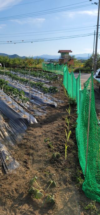 선영~~님의 🎉상반기 결산 자랑하기 · 참여글 작성글 사진