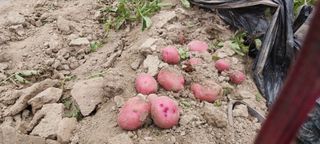 김진순님의 🎉상반기 결산 자랑하기 · 참여글 작성글 사진