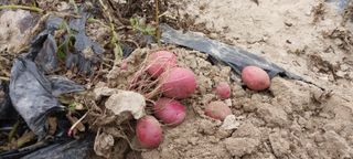 김진순님의 🎉상반기 결산 자랑하기 · 참여글 작성글 사진