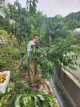 팜모닝 🎉상반기 결산 자랑하기·참여글 게시글 이미지