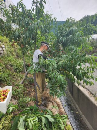 김경자님의 🎉상반기 결산 자랑하기 · 참여글 작성글 사진