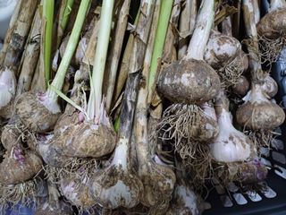 다래원님의 🎉상반기 결산 자랑하기 · 참여글 작성글 사진