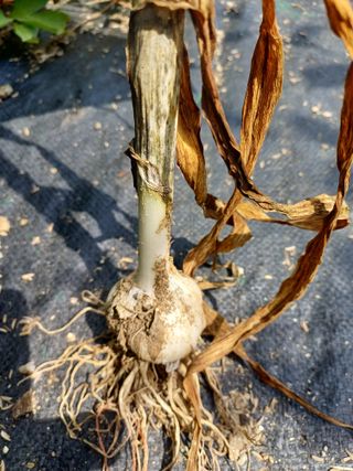 다래원님의 🎉상반기 결산 자랑하기 · 참여글 작성글 사진