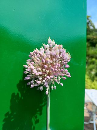 다래원님의 🎉상반기 결산 자랑하기 · 참여글 작성글 사진