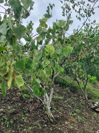 김용대님의 자유주제 · 자유게시판 작성글 사진