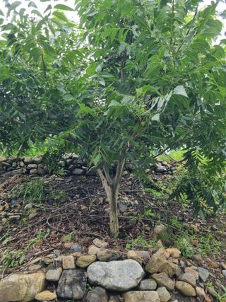 김용대님의 자유주제 · 자유게시판 작성글 사진