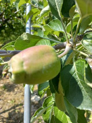 자연인님의 🎉상반기 결산 자랑하기 · 참여글 작성글 사진