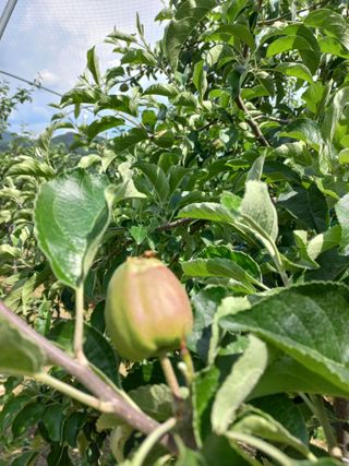 자연인님의 🎉상반기 결산 자랑하기 · 참여글 작성글 사진
