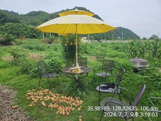 박무건님의 🎉상반기 결산 자랑하기 · 참여글 작성글 사진