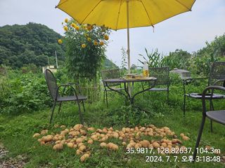 박무건님의 🎉상반기 결산 자랑하기 · 참여글 작성글 사진