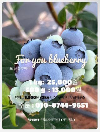 K1588님의 🎉상반기 결산 자랑하기 · 참여글 작성글 사진