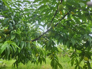 채봉석님의 🎉상반기 결산 자랑하기 · 참여글 작성글 사진