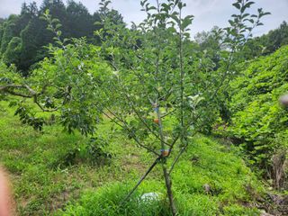 채봉석님의 🎉상반기 결산 자랑하기 · 참여글 작성글 사진