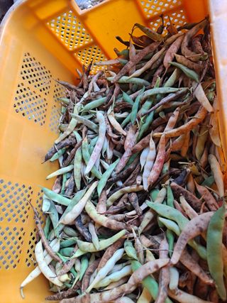 귤20155님의 🎉상반기 결산 자랑하기 · 참여글 작성글 사진