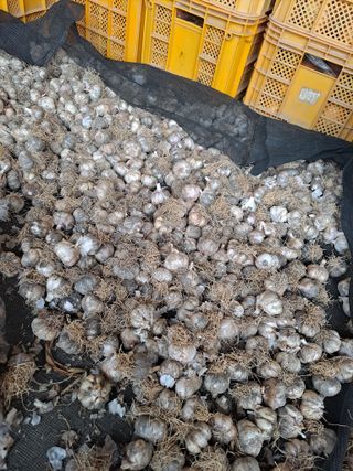 귤20155님의 🎉상반기 결산 자랑하기 · 참여글 작성글 사진