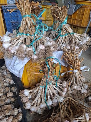 귤20155님의 🎉상반기 결산 자랑하기 · 참여글 작성글 사진